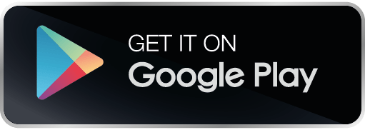 Google Store