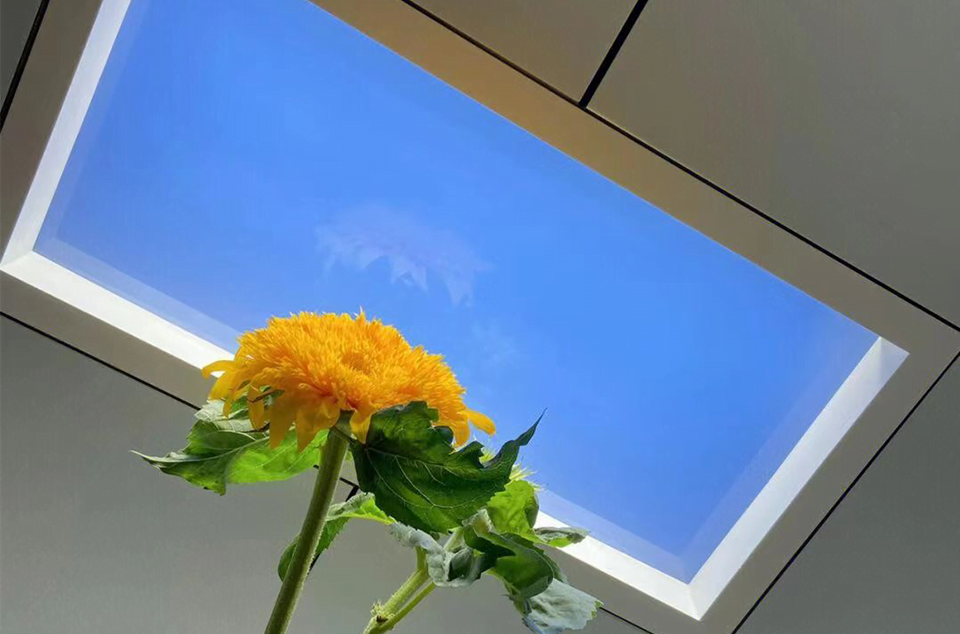 artificialskylight-product